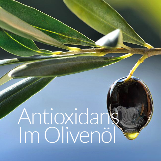 Antioxidans Im Olivenöl